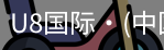 U8国际